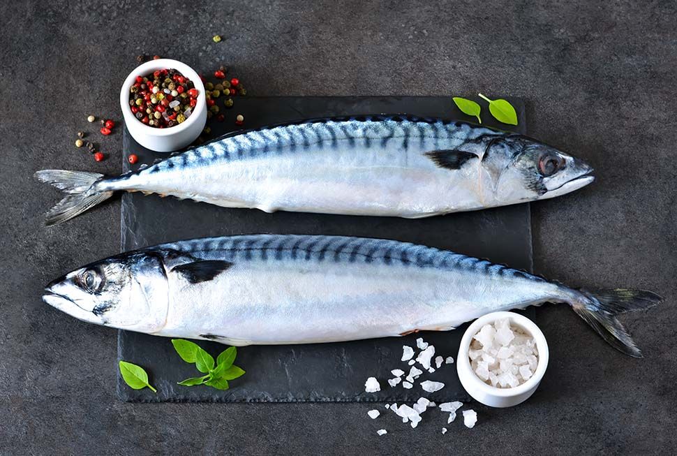 Gourmet Mackerel from the Caribbean Coast: Freshness, Taste and Quality right at your table!