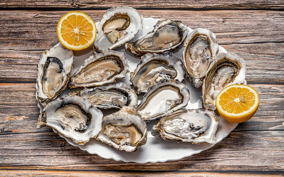 Discover the Exquisite Taste of the Caribbean Coast: Oysters