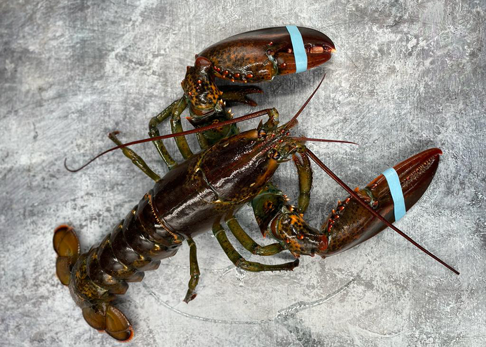 Juicy Caribbean Lobsters: An Unparalleled Treat for Gourmets 